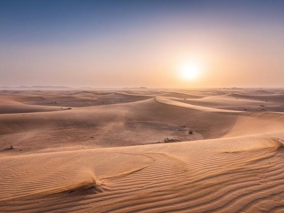 Golden desert dunes at sunrise in the UAE